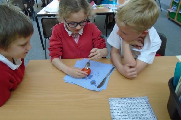 Mummification of a tomato