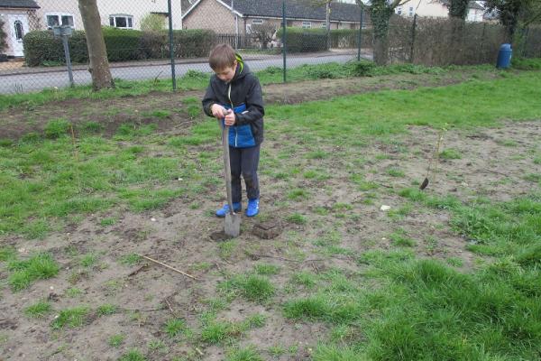 Tree planting