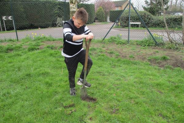 Tree planting