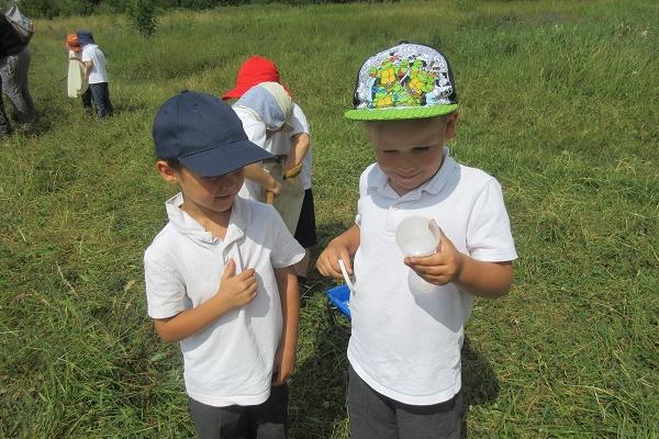 Activities at Petersfield 2