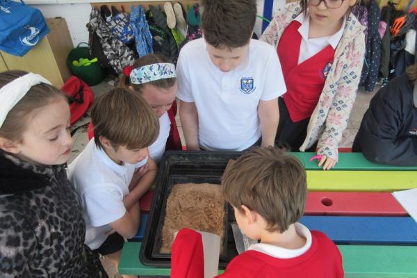 Investigating mountain formation